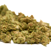 Skywalker THCa Hemp Flower Smalls - Plants